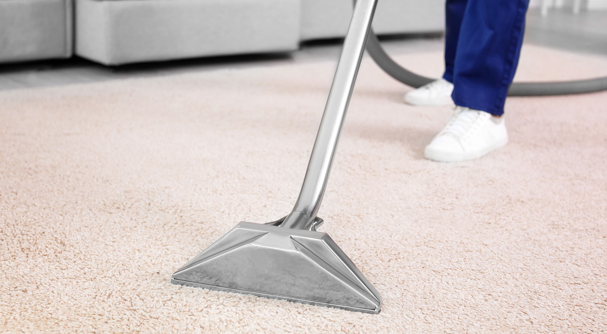 a professional and fully supervised carpet upholstery leather cleaning and leather conditioning company