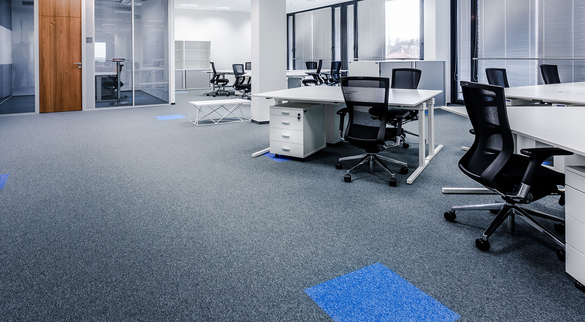 a carpet steam cleaning process