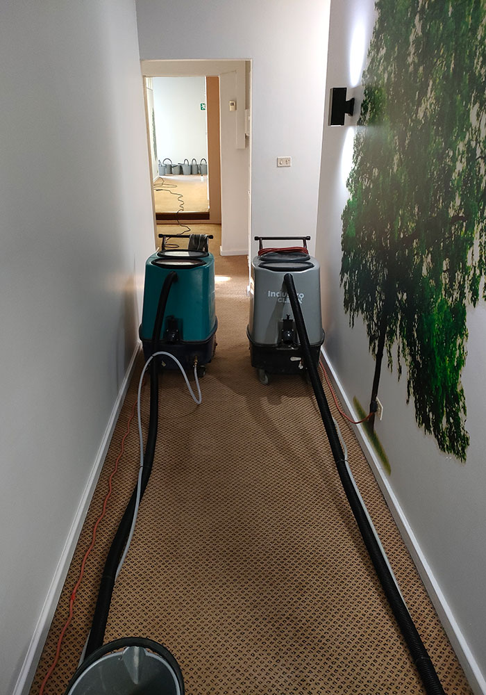 KirbeKleen Carpet, Upholstery and Leather Cleaning