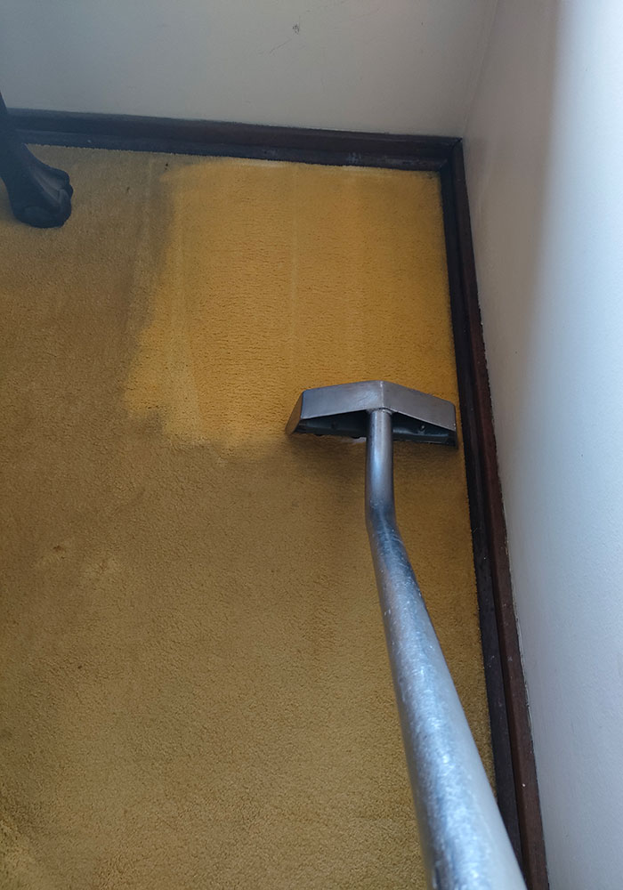 KirbeKleen Carpet, Upholstery and Leather Cleaning