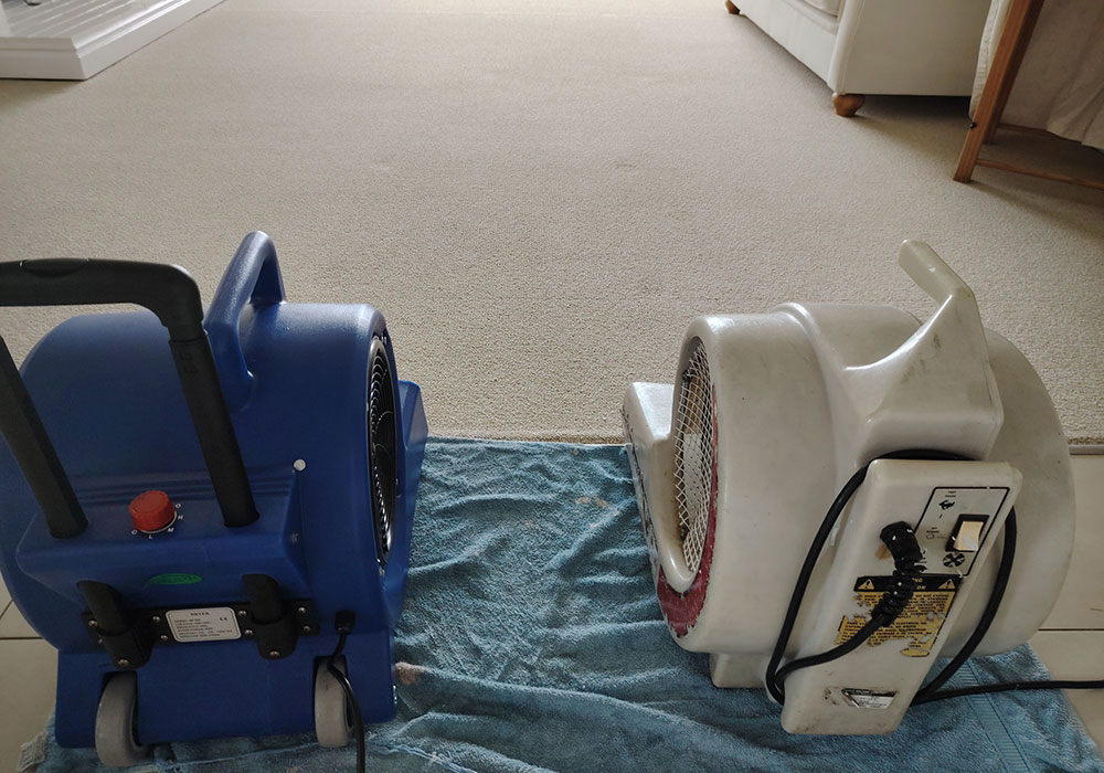 KirbeKleen Carpet, Upholstery and Leather Cleaning